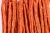 Zasuszone-173 copy.webp