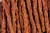 Zasuszone-177 copy.webp